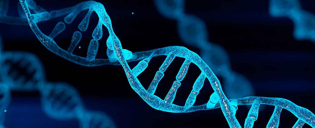 1761218808498635217193277836726596遗传基因检测.jpg 17193277836726596遗传基因检测.jpg