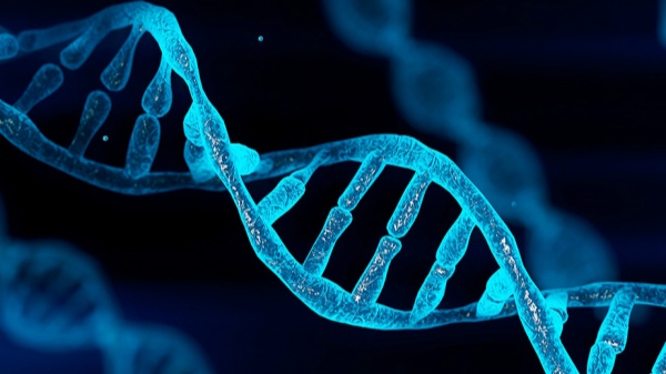 1765465077326931917193277836726596遗传基因检测_副本.jpg 17193277836726596遗传基因检测_副本.jpg