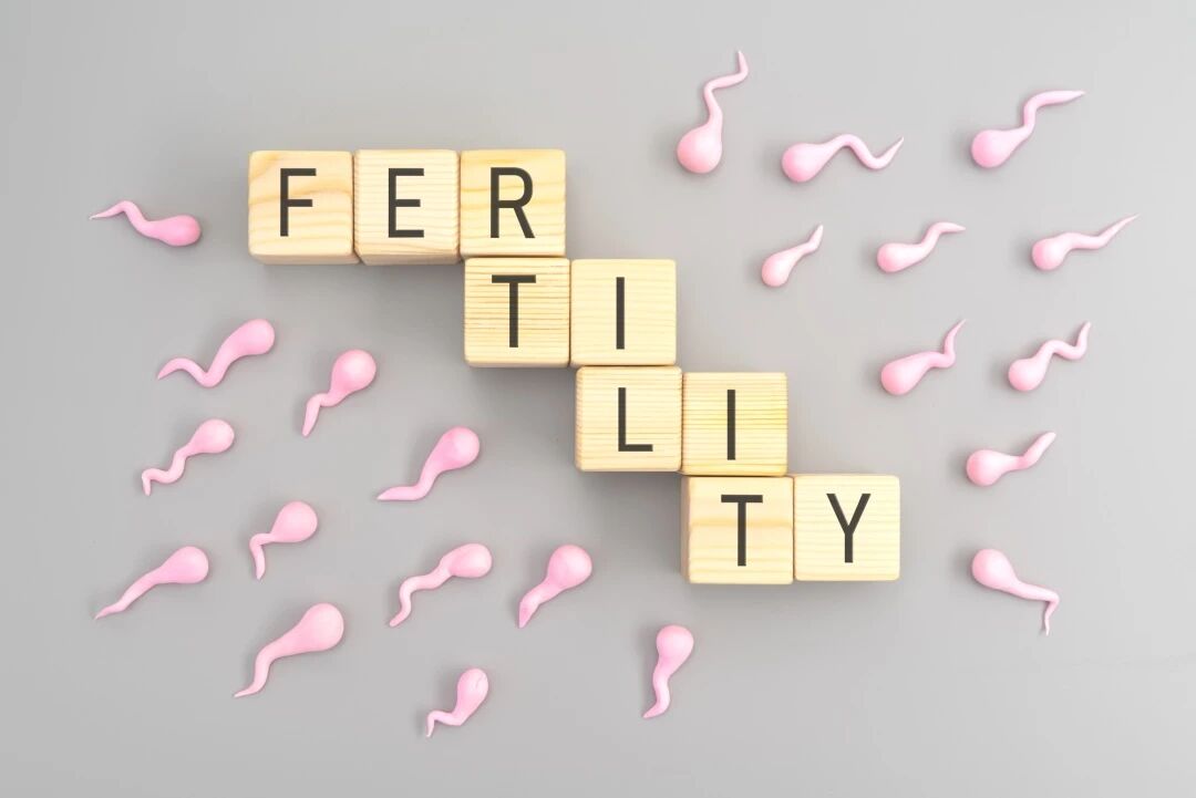 17664817157318187微信图片_20251223092105.jpg 微信图片_20251223092105.jpg